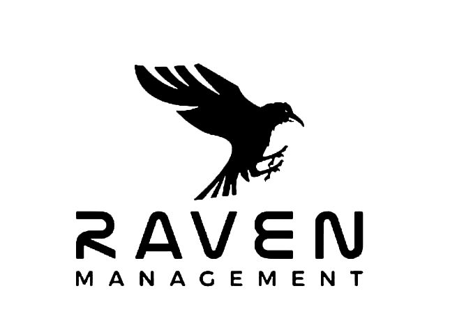 Raven Management Accounting Firm Logo
